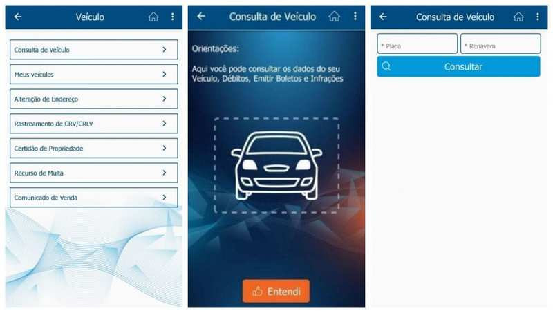 Foto: Aplicativo Detran GO