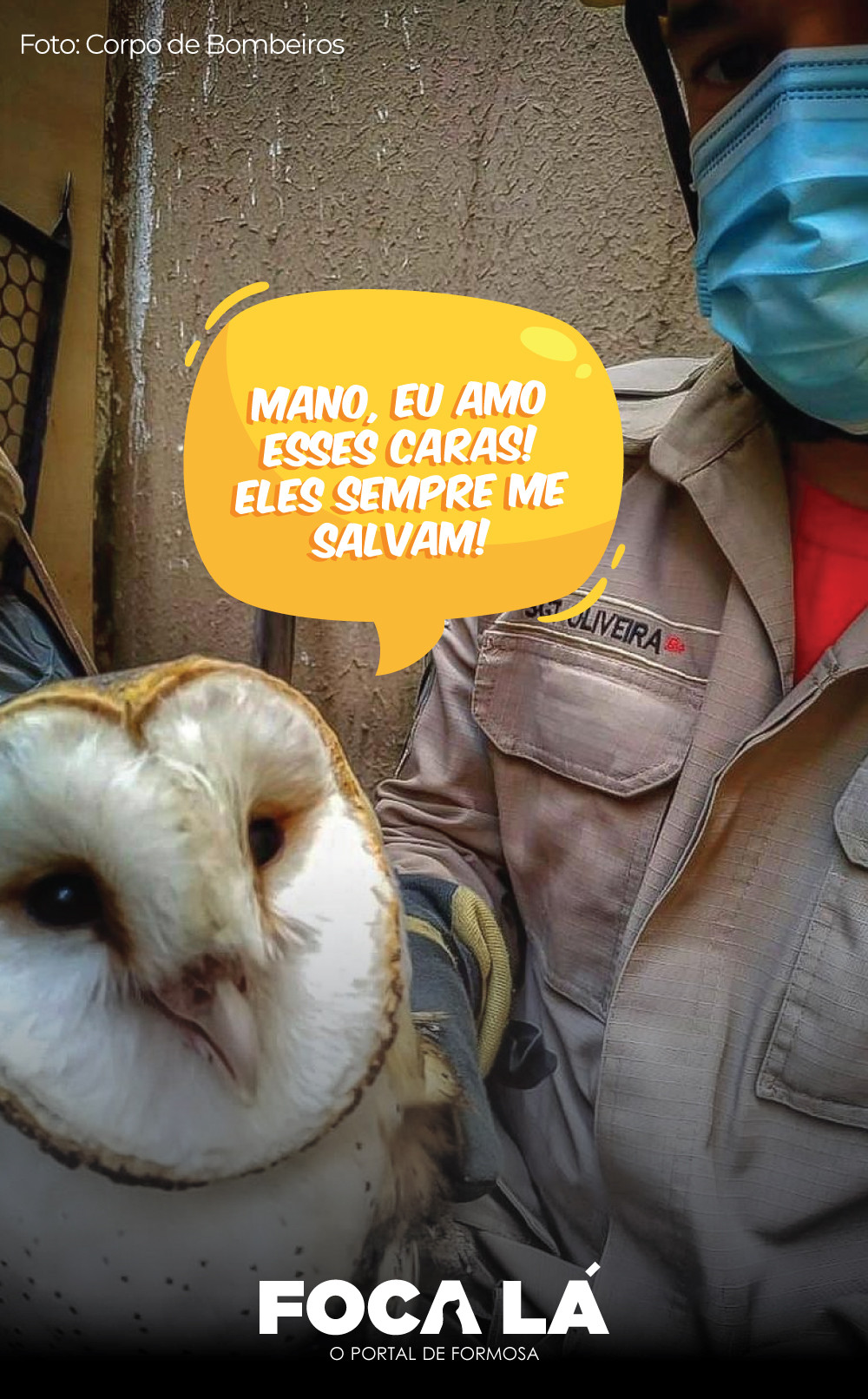 Arte: Elias Lopes - Portal Foca Lá