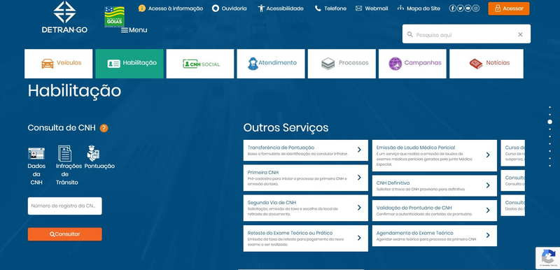 Foto: Reprodução/ Site Detran GO