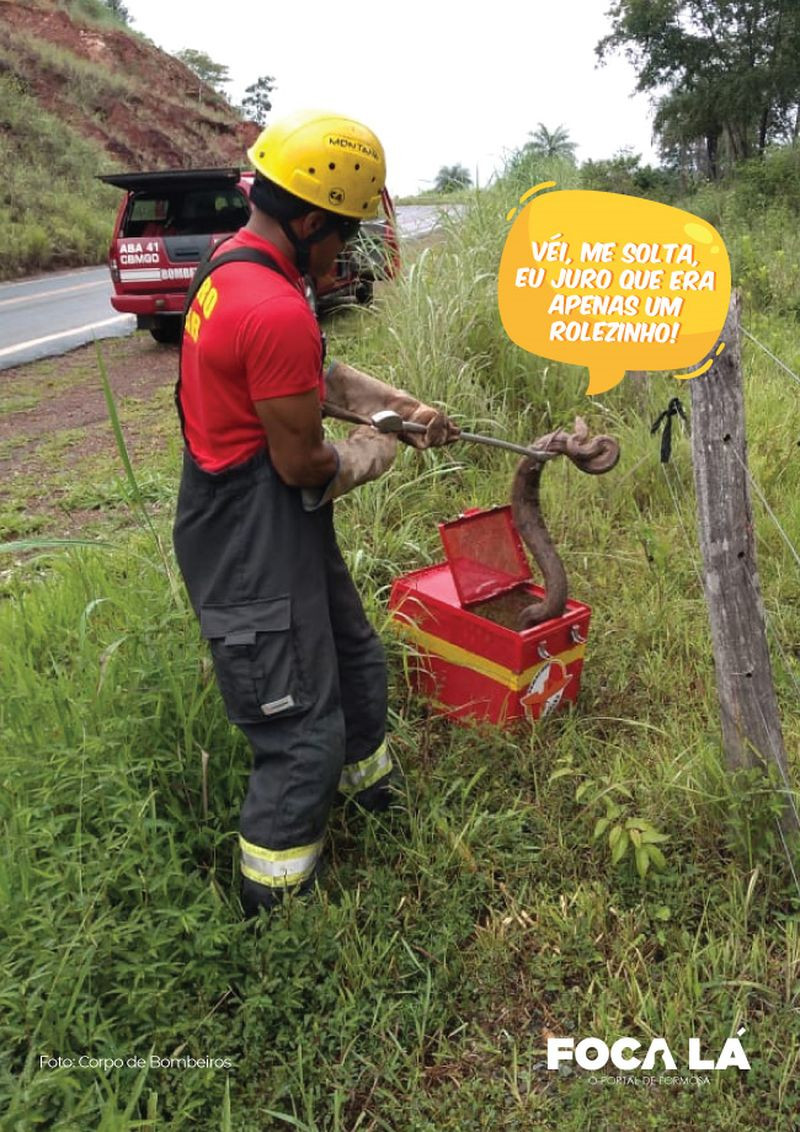 O Corpo de Bombeiros de Formosa, resgatou ontem (23/03) no Parque São Francisco este belo exemplar de Jibóia. Ela afirma que tava de boa, que era só um rolezinho, mas por via das dúvidas o Corpo de Bombeiros achou melhor, resgatá-la e levar ao seu habitat natural   Corpo de Bombeiros: Sgt Bruno, Cb Guilherme, Cb Macedo