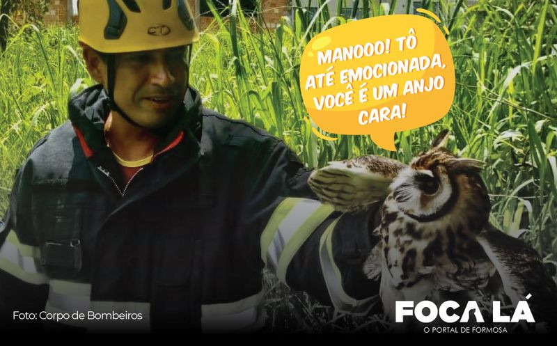 Arte: Elias Lopes/Portal Foca Lá